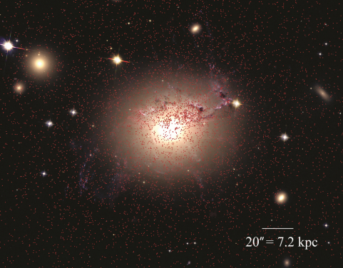 Old globular clusters (ages up to 10 billion years or more) are indicated by the red dots. These globular clusters are randomly distributed around the giant galaxy at the center of the Perseus galaxy cluster; this galaxy is the large gray to white oval at the center of the picture. Round or oval objects, also colored gray to white, are smaller galaxies that are part of the same galaxy cluster.